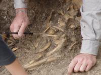 Recovery of Human Remains at Vlasac, Serbia