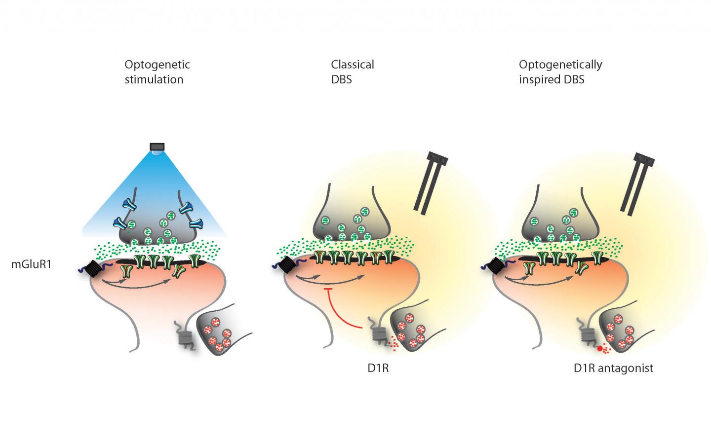 Adapting Optogenetics to Reverse Cocaine Behavior in Mice