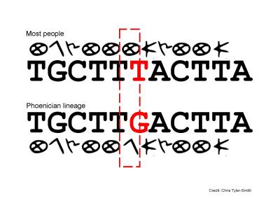 A Phoenician Genetic Variant Written in the Phoenician Alphabet (2 of 2)