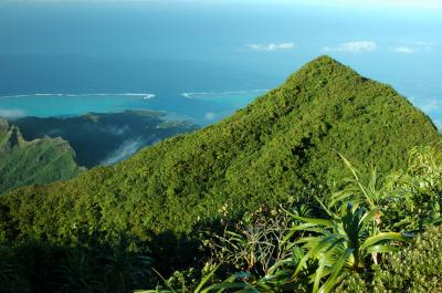 View From Mt. Tohiea
