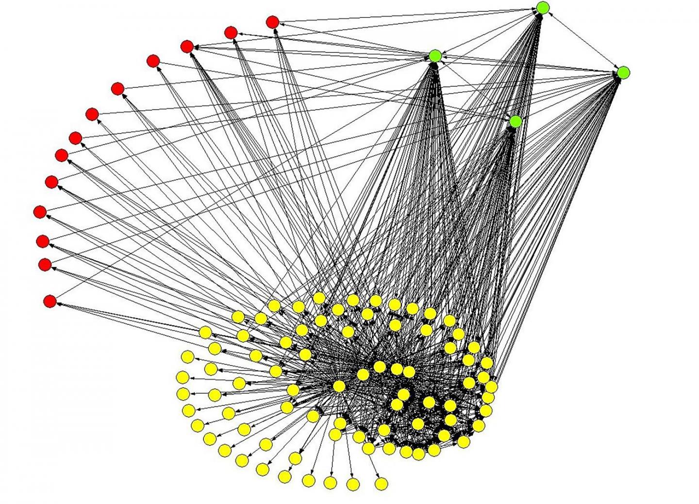 Virus Networks [IMAGE] EurekAlert! Science News Releases