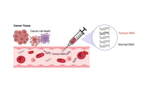 Graphical Abstract