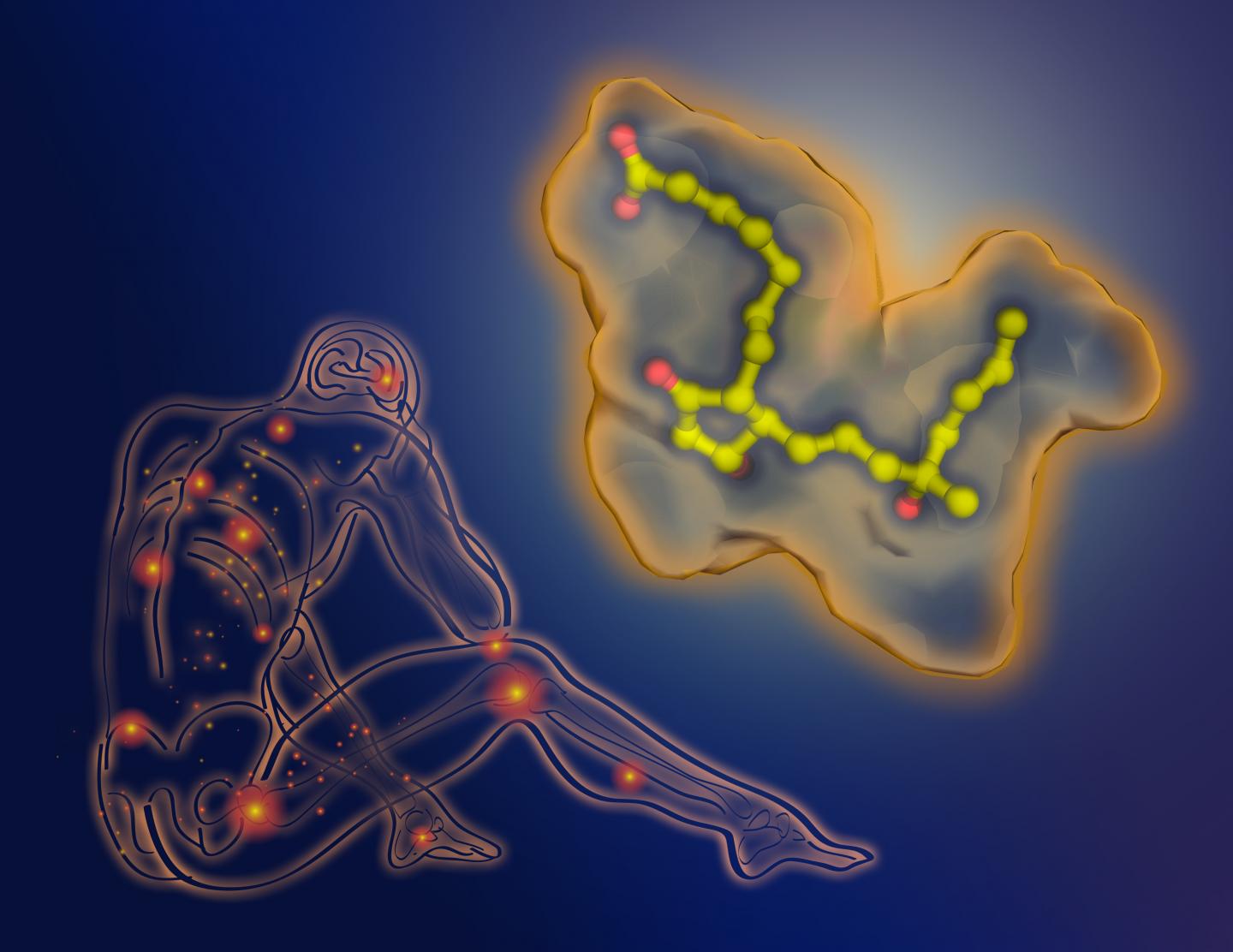 Misoprostol Binds with the Prostaglandin E2 Receptor