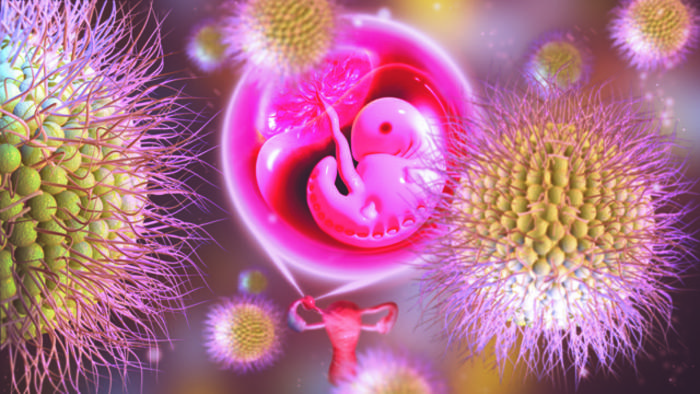 Nanomedicine and ectopic pregnancy, graphic by Parinaz Ghanbari.
