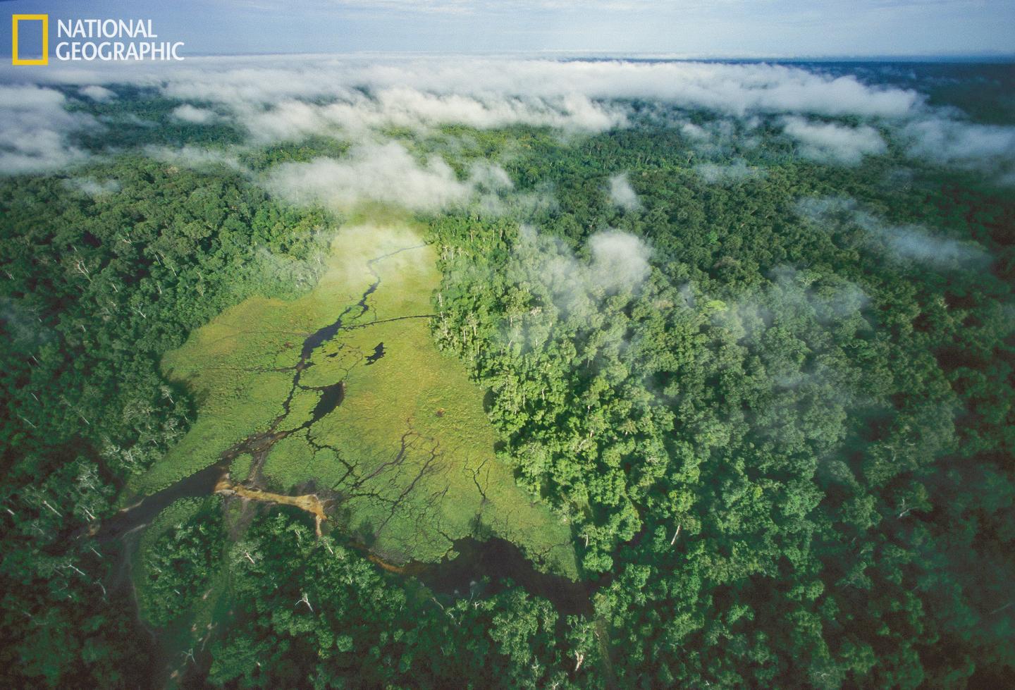 Republic of the Congo, 1994