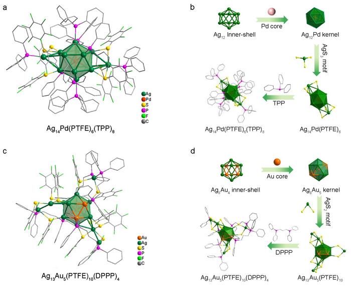 Crystal structures of Ag14Pd and Ag13Au5 clusters.