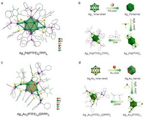 Crystal structures of Ag14Pd and Ag13Au5 clusters.