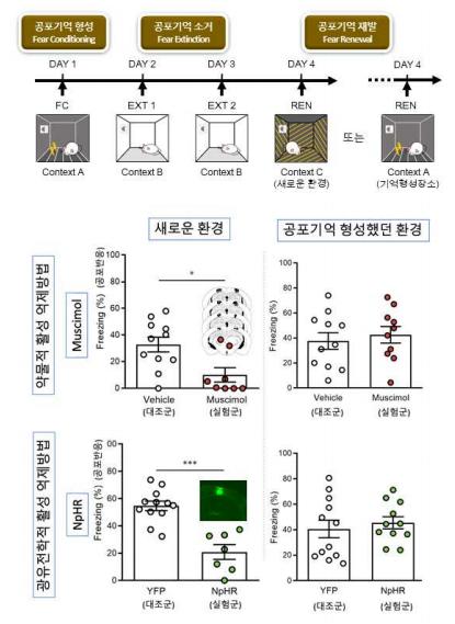 Preventative Effects of PPC Inactivation