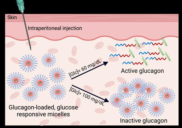 A new injectable to prevent and treat hypoglycemia