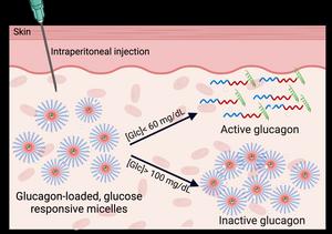 A new injectable to prevent and treat hypoglycemia