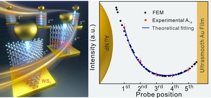 Scientists Fabricate Nano-ruler to Look into Longitudinal Plasmonic Field in A Nanocavity at Subnano-scale