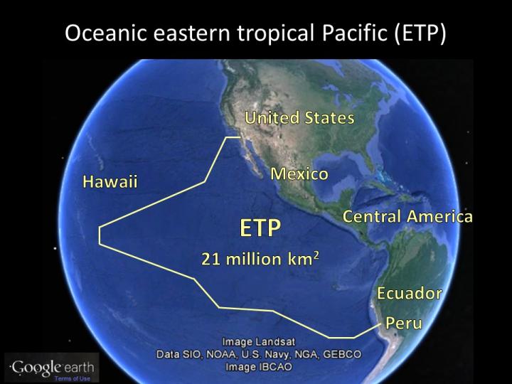 Eastern Tropical Pacific Ocean Image Eurekalert Science News Releases