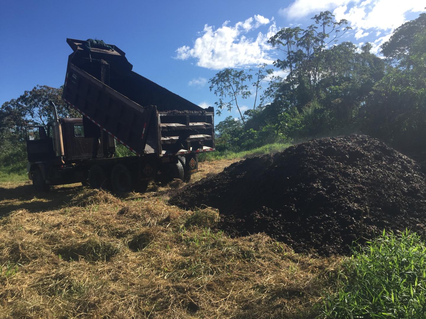 Coffee pulp delivery (Day 1). Credit Rebecca Cole.