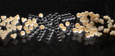 3-D Printers Turn Computer Models into Reality