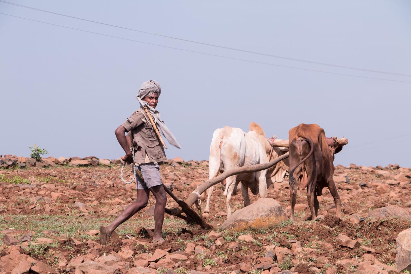 Migrant Worker in Ethiopia