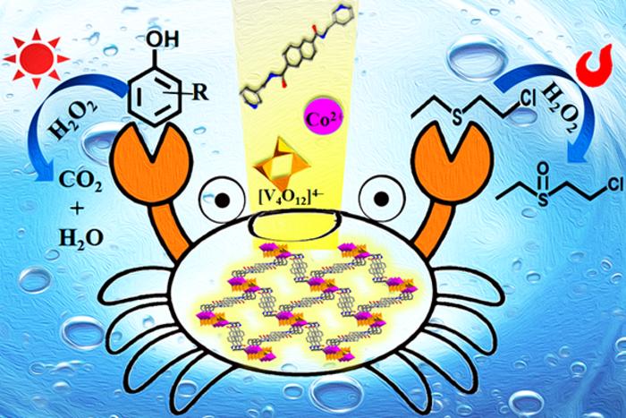 Bifunctional Catalyst to Solve Environmental Pollution