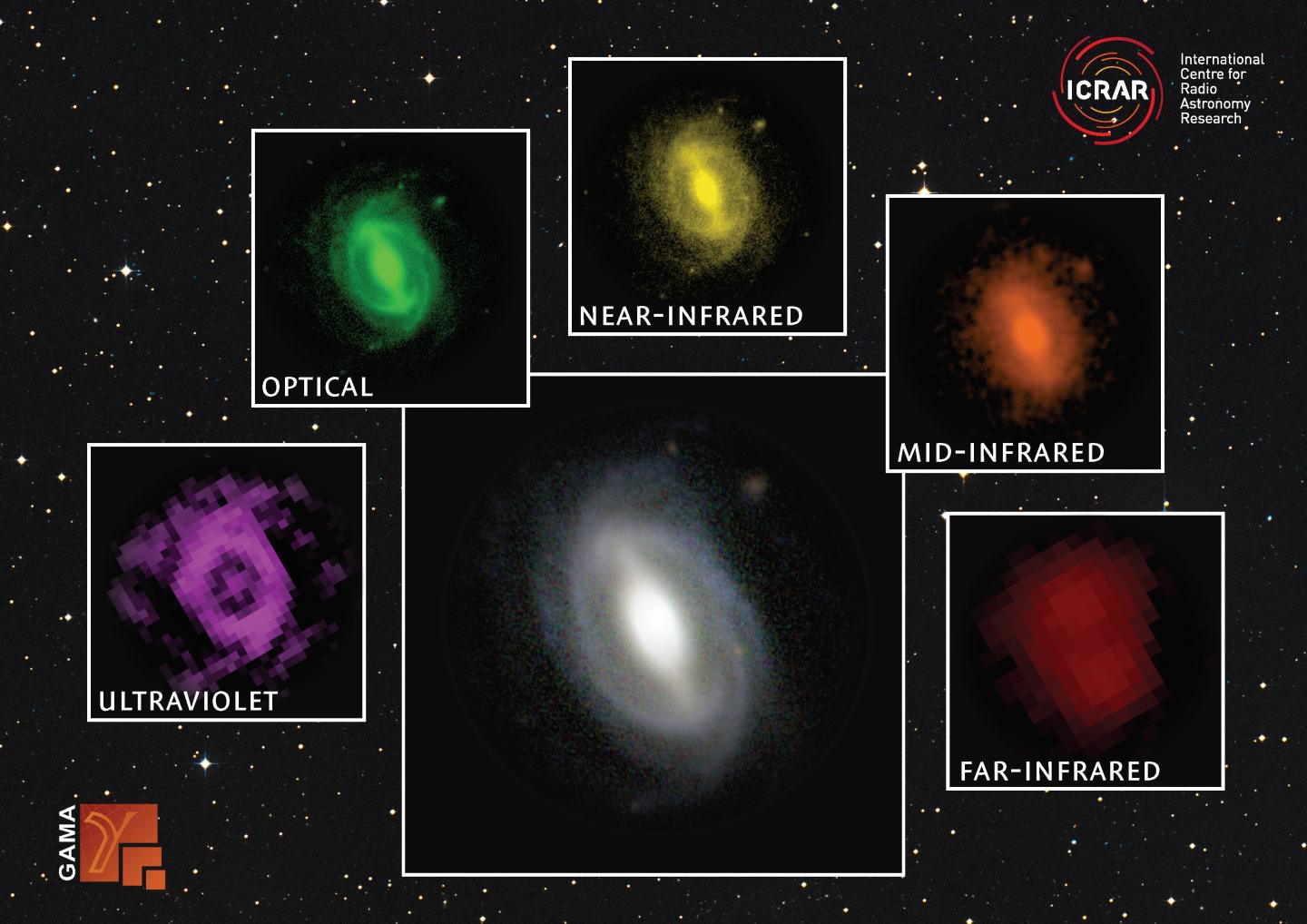 A Galaxy from the GAMA Survey, Seen at Different Wavelengths