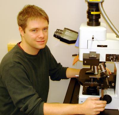 Tumor Growth in Mutant <i>Drosophila</i> Neuroblasts