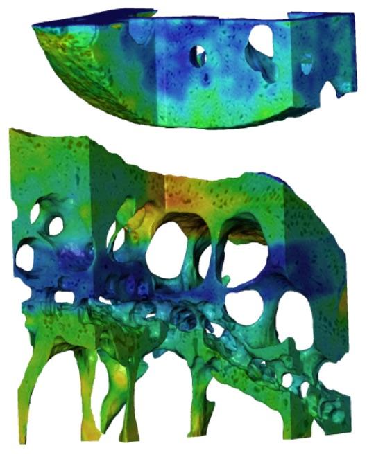 Nanoscale Joint Imaging