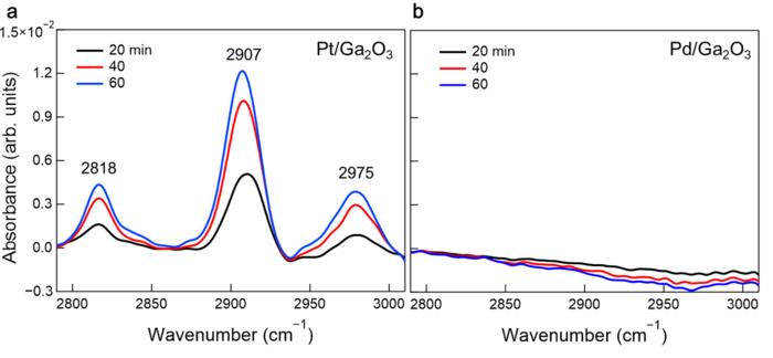 Operando infrared absorption spectra