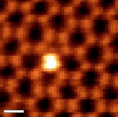 Ornl Microscopy Reveals Atomic Antenna Beha Eurekalert