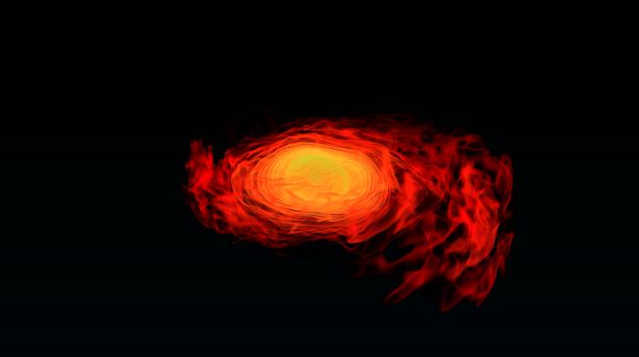 Neutron Star Merger