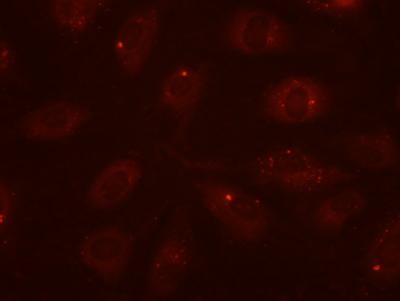 Aggregates -- Control