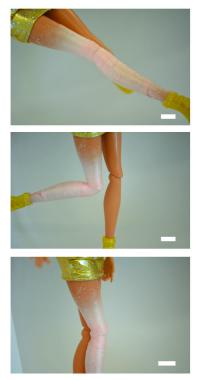 A Fiber Network on the Knee Joint of a Barbie Doll