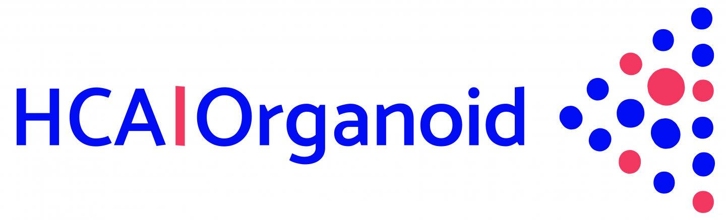 HCA Organoid logo