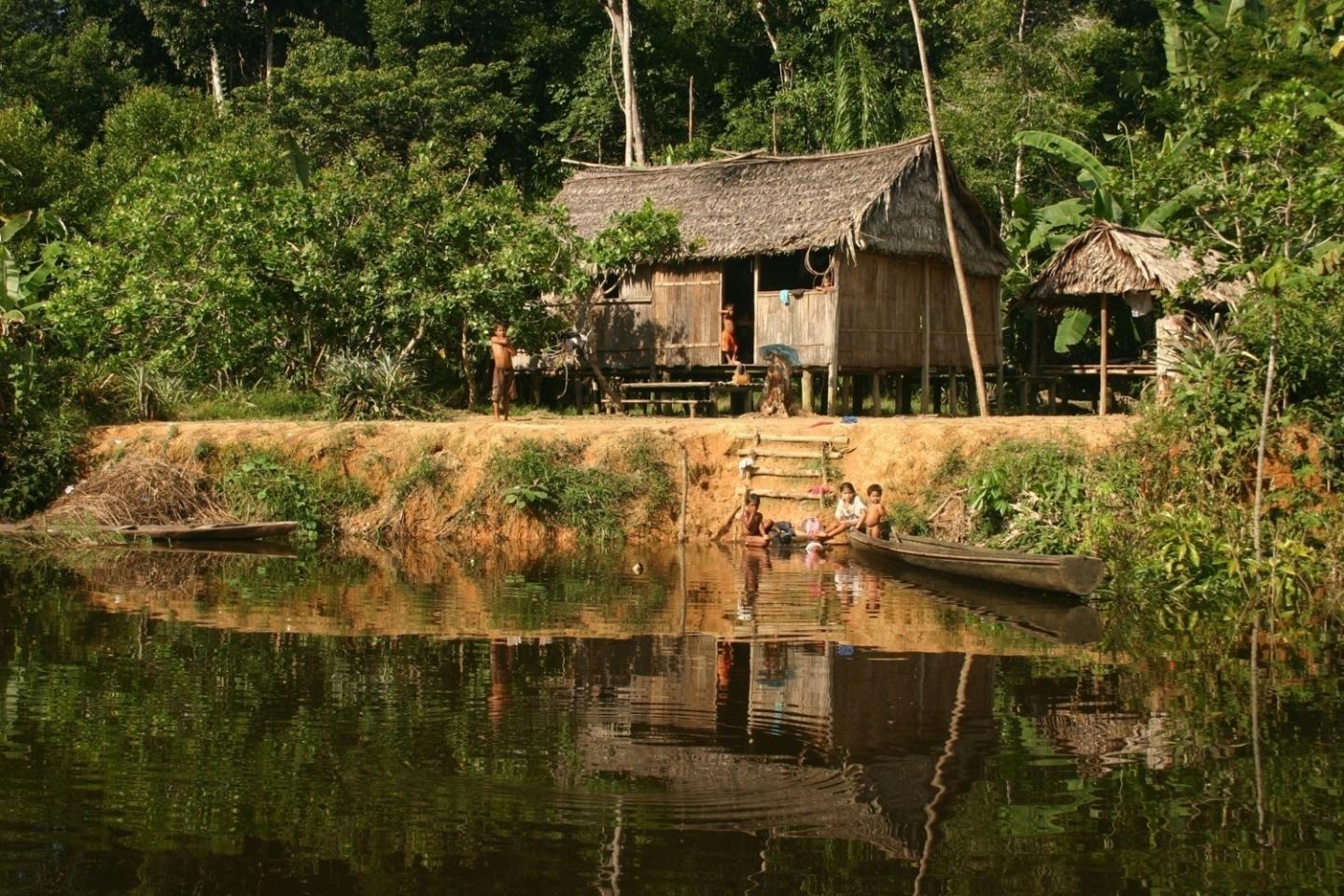 Forest-Proximate People in Amazonia State, Brazil