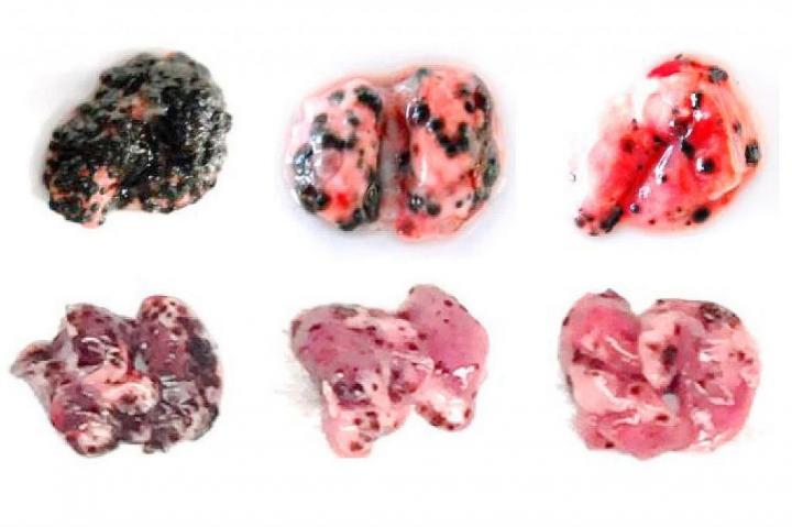 Tumor Suppression in Mice