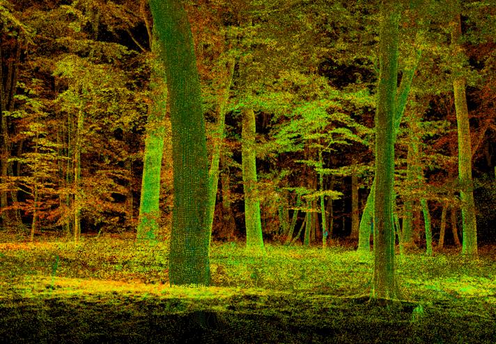 Forest scene in unusual colours: glowing green and red