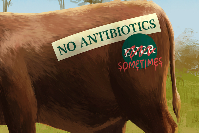 "Raised without Antibiotics"