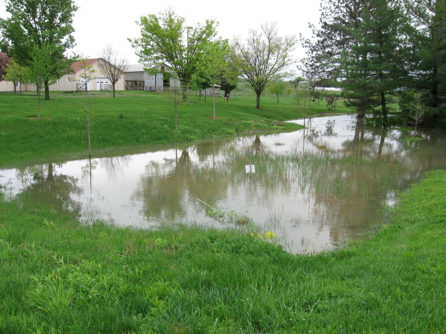 Wet Basin