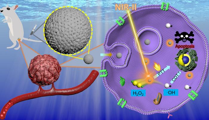 New Iron-Doped Carbon Based Nanoparticles Boost Cancer Treatment with Enhanced Precision and Safety