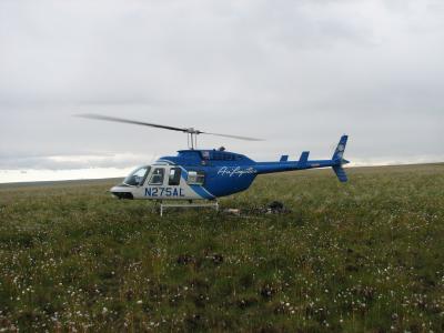 Surprising Post-Fire Resilience