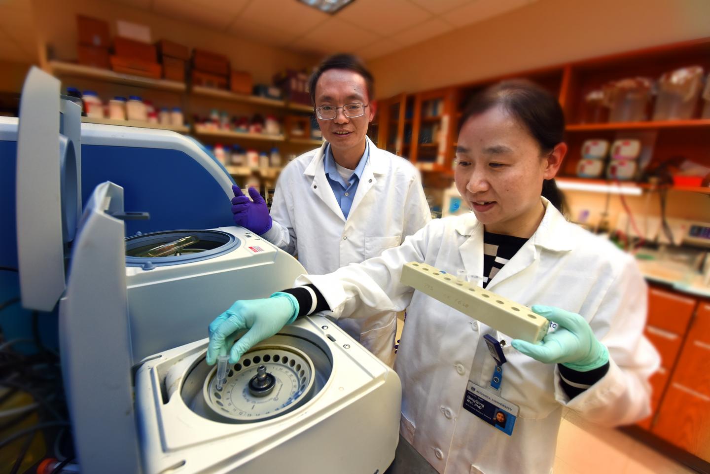Zheng Dong and Qingqing Wei, Medical College of Georgia at Augusta University