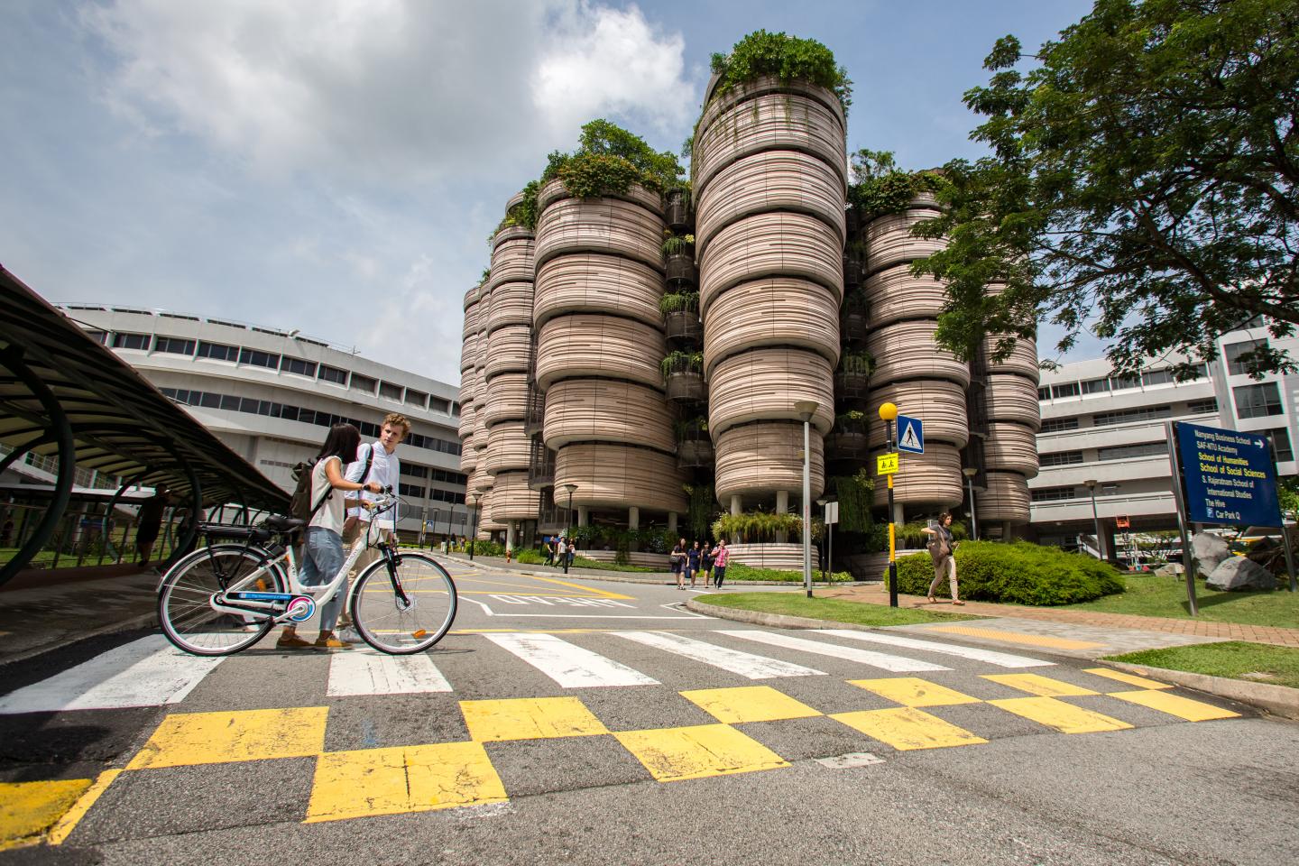 NTU-Peugeot E-bikes