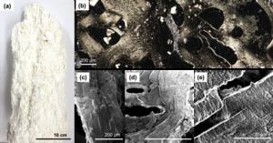 Hydrothermal vent precipitates