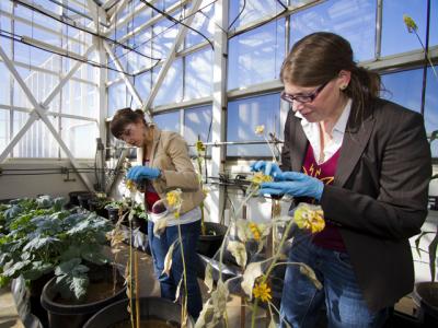 Biomaterials Sustainability Assessment