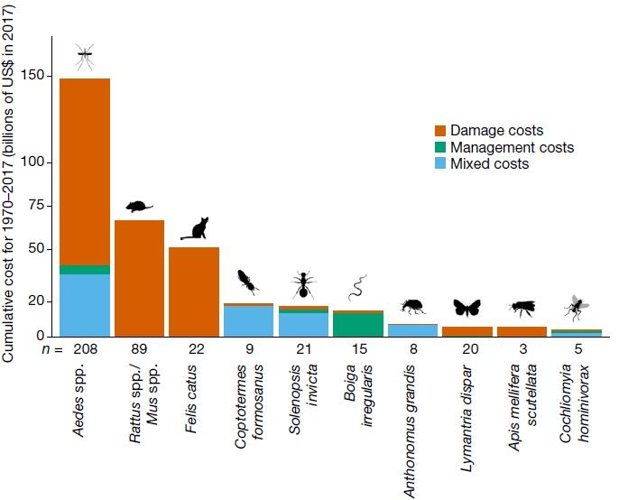 The 10 costliest taxa from the most robust subset of the original database for both cumulative damage and management costs