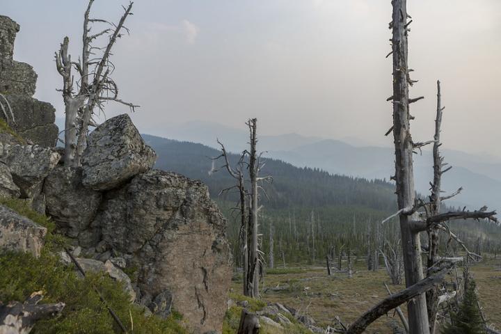 Washington wildfire smoke