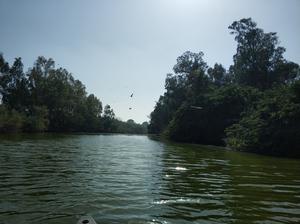 Alexander River, Israel