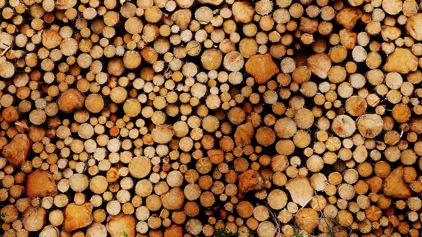 Woody Biomass