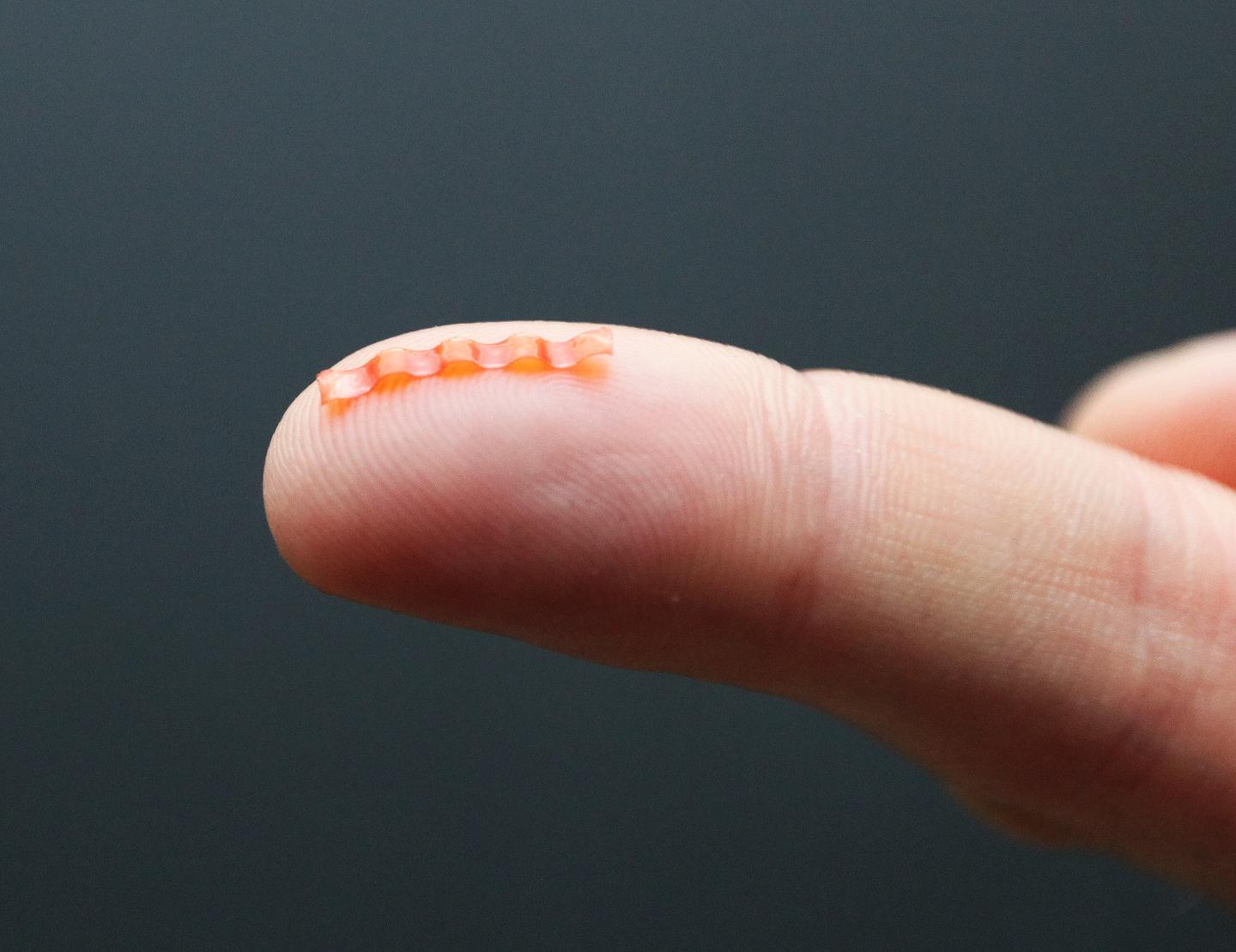 Caterpillar Micro-Robot Sitting on a Fingertip