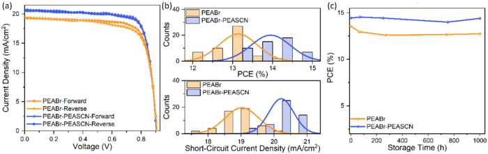 Fig.4 Device performance of Sn PSCs. (a)The J-V curve of PEABr and PEABr-PEASCN Sn PSCs. (b) Statistical PCE and JSC from PEABr and PEABr-PEASCN Sn PSCs. (c) PCE evolution of encapsulated Sn PSCs.