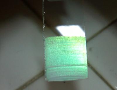 Red Light, Green Light (1 of 2)