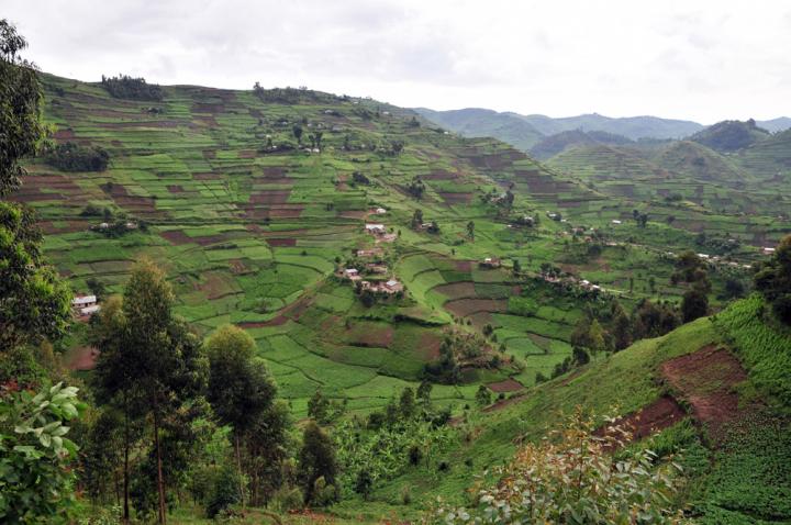 Rural Households Uganda