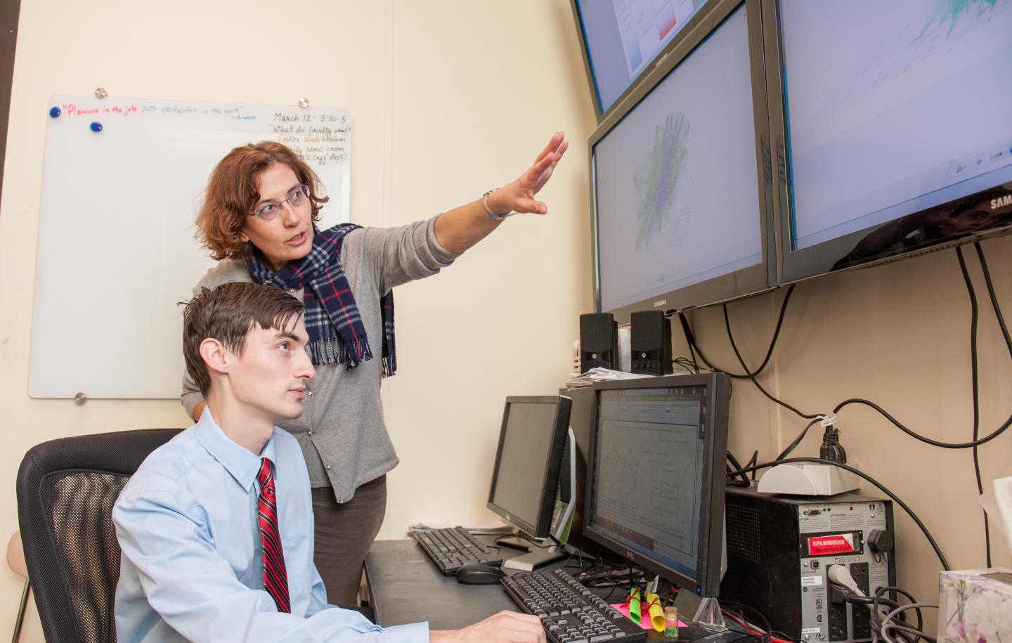 Beefing up the Beef Cattle System