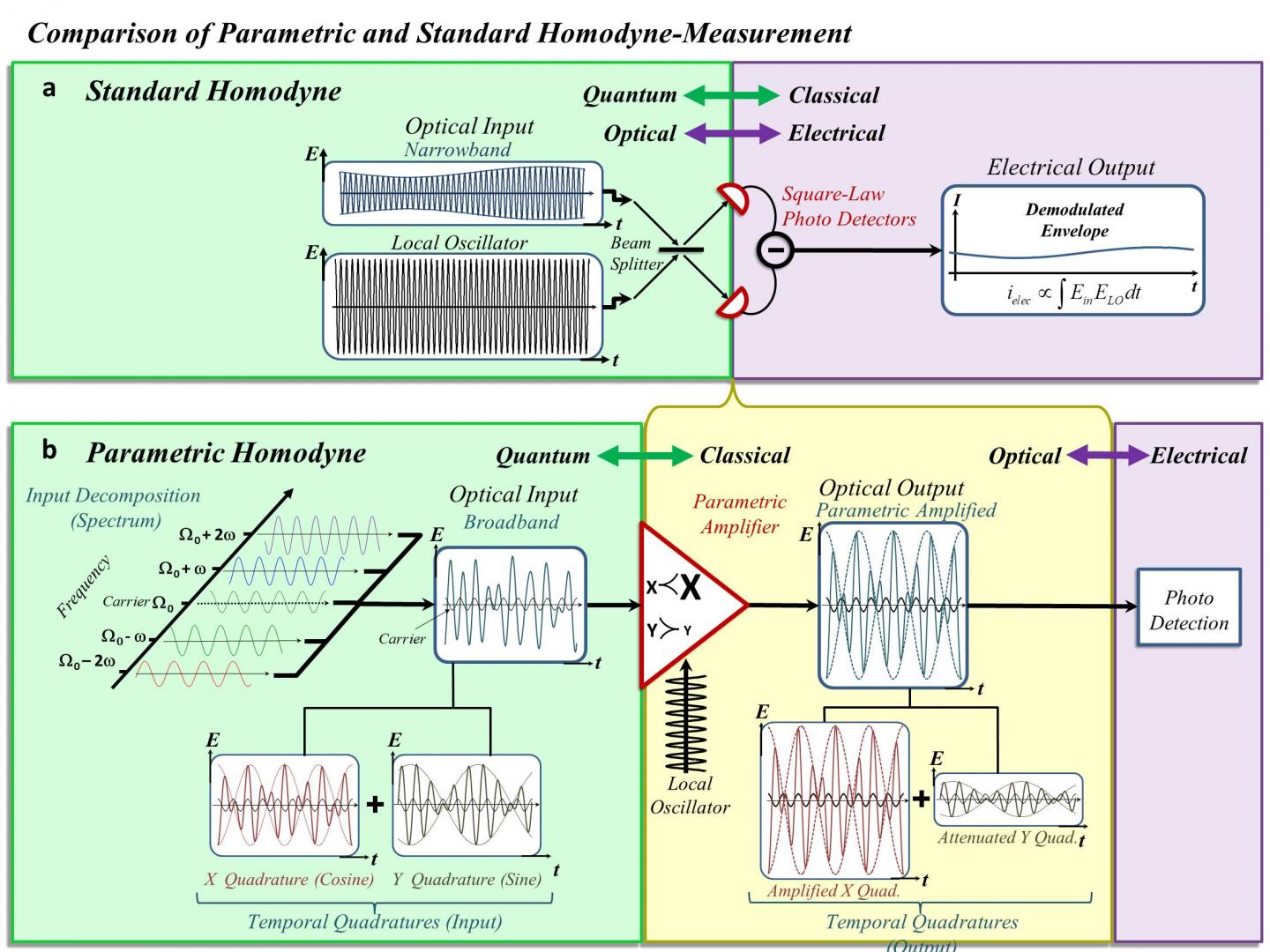 Lifting the Bandwidth Limit of Optical Homodyne Measurement with Broadband Parametric Amplification